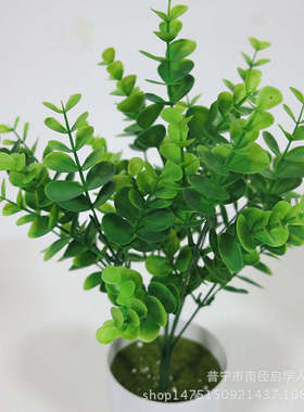 极速7 afork Eucalyptus flower simulation money leaf plastic