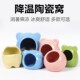 新品 散热消暑窝M降温小屋窝房子冰屋仓 陶瓷小窝仓鼠窝金丝熊夏季