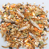 新品 粮v金丝熊专用饲料面包虫花枝鼠食物小零 仓鼠粮食海鲜营养