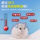 新品 仓鼠夏天冰屋空调窝夏天小宠B房子大号躲避屋金丝熊蜜袋鼯降