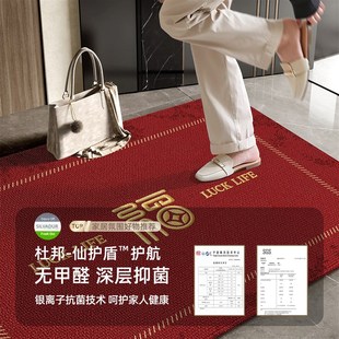 极速入户门c地垫进门地毯2026新款红色进门脚垫门口门垫入门户家