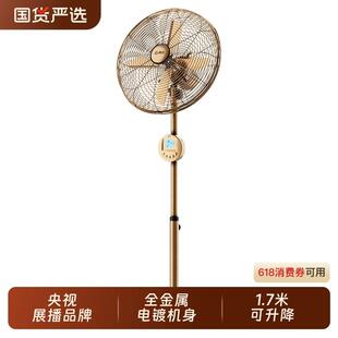 林边电风扇家用落地扇客厅大风力强劲商用升降仿复古全金属工业扇