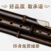 毕格宝九孔葫芦丝C调降B调专业演奏型云南傣味乐器大品牌宽音域