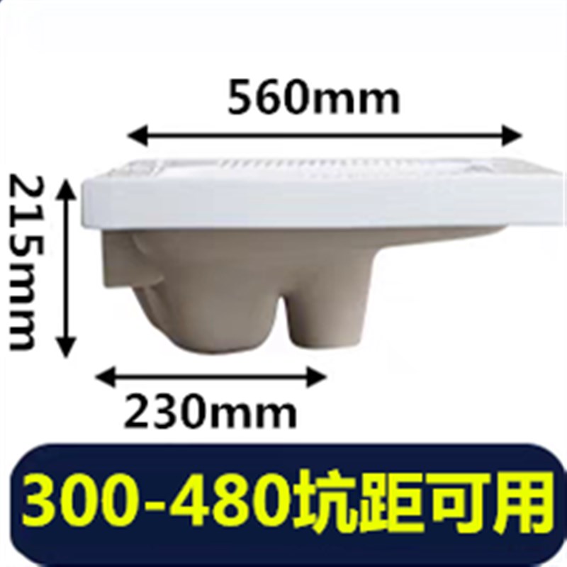 短坑距23cm蹲便l器前排水中排出水蹲坑厕所便盆大口径带存水弯防