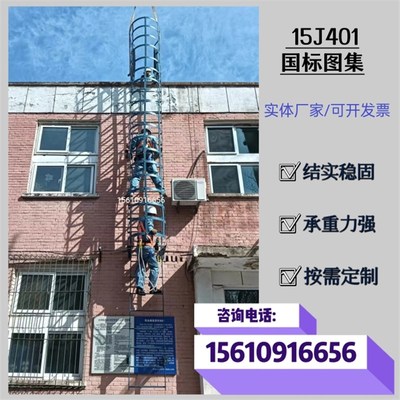 国标爬梯护笼检修爬梯厂房爬楼基坑水池玻璃钢护笼爬梯不锈钢爬梯