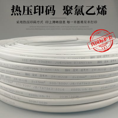 国标二芯护套线家用电线电缆2芯1.5/2G.5/4平方插头带线防冻电源