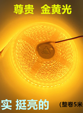 12V2000K金黄光mLED灯条5054超高亮2200K金黄色防水软灯带家装吊