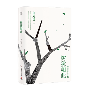 【官方正版】树犹如此 八千里路云和月 白先勇 精装珍藏版 代表作寂寞的十七岁 台北人 纽约客孽子中国现当代文化散文博集天卷