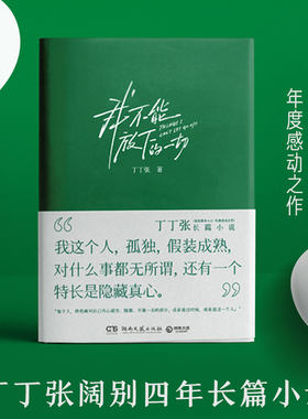 【官方正版】我不能放下的一切 丁丁张 长篇小说中国当代 直抵都市人心 年度感动之作 都市小说青春文学现货  博集天卷