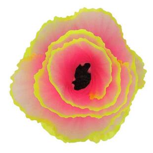 ecoration 极速Simulation Lettupce Coral Ornam Aquarium