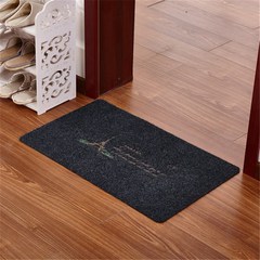 极速2023 Door Mats for Entrancze Door Carpets Living Room Ho