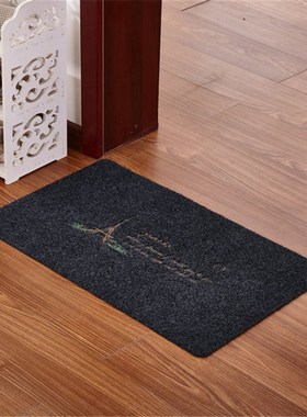 极速2023 Door Mats for Entrancze Door Carpets Living Room Ho