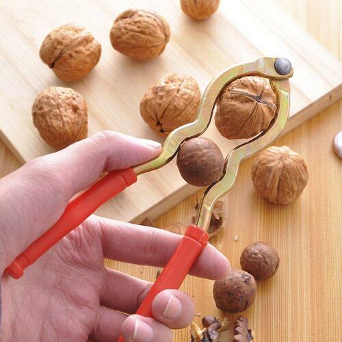 极速, Walnut clip, kitchen, pecan, mountain walnutU Epeeling