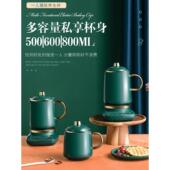 养生壶办公室迷你小型煮茶壶mini全自动煮茶器家用多功能全玻璃底