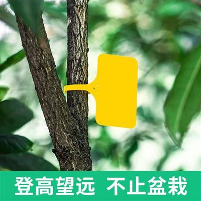 园艺标签T型多肉l植物花卉地插牌塑料防水园艺苗木定制花盆标识牌