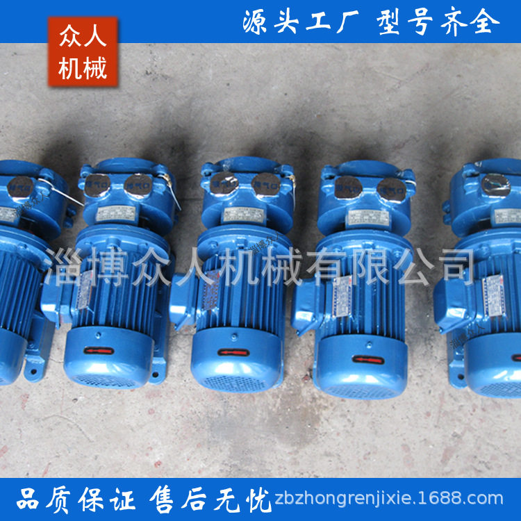 4KW水环式真空泵联轴器直连