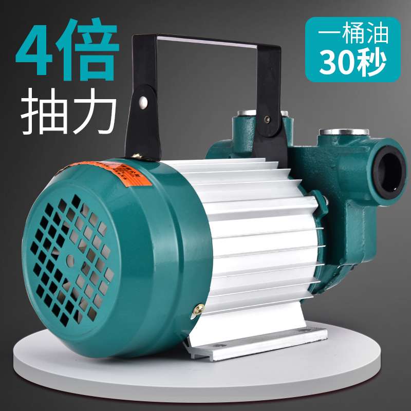 大功率抽油泵12V24V220V伏油泵柴油抽油机抽油器加油机加油泵