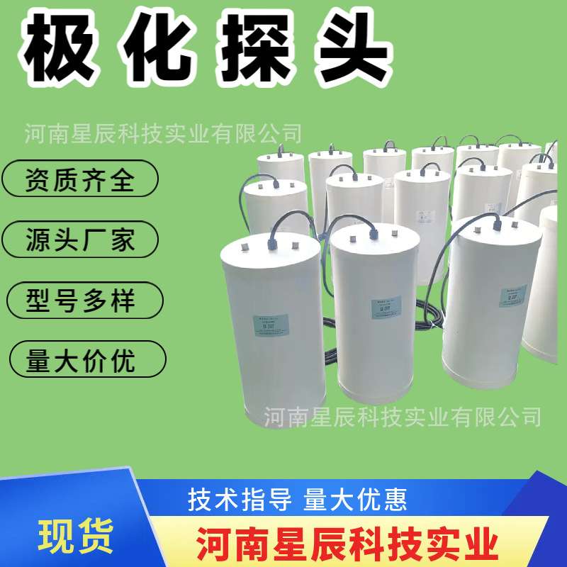 埋地阴极保护极化探头 80号钢试片抗干扰极化测量探头智能测试桩