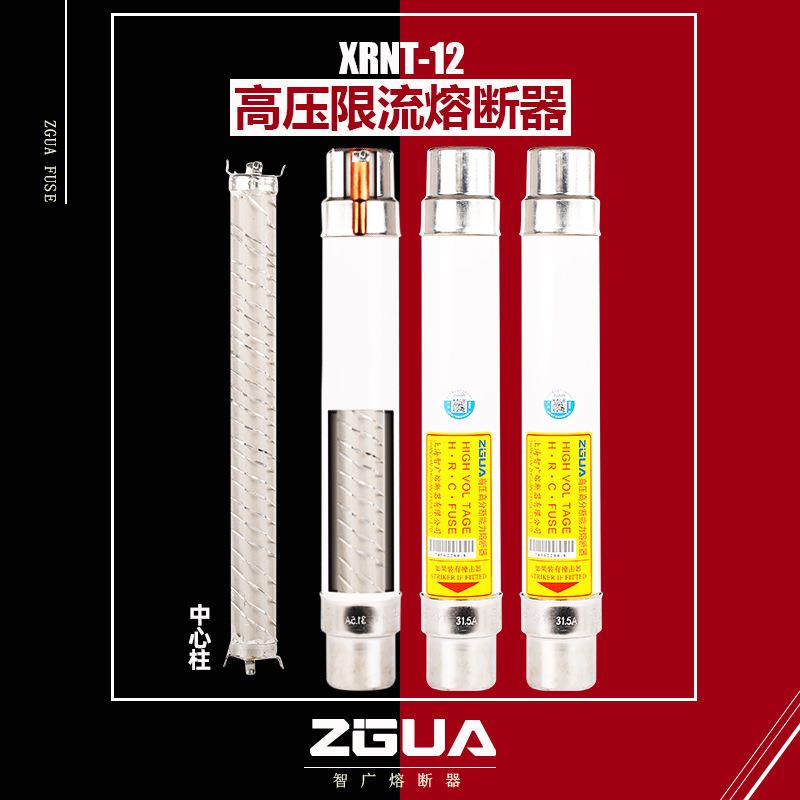高压熔断器XRNT-12KV6.3A10A16A20A变压器保护户内高压限流熔断器