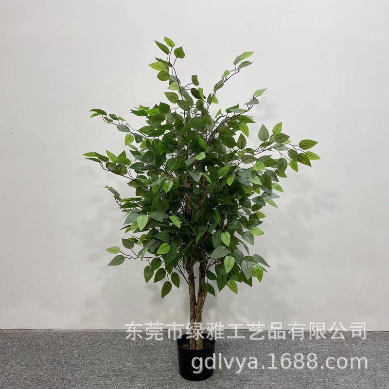 人造真树杆小榕树仿真白边榕树假绿植盆栽过胶迷你榕客厅造景装饰