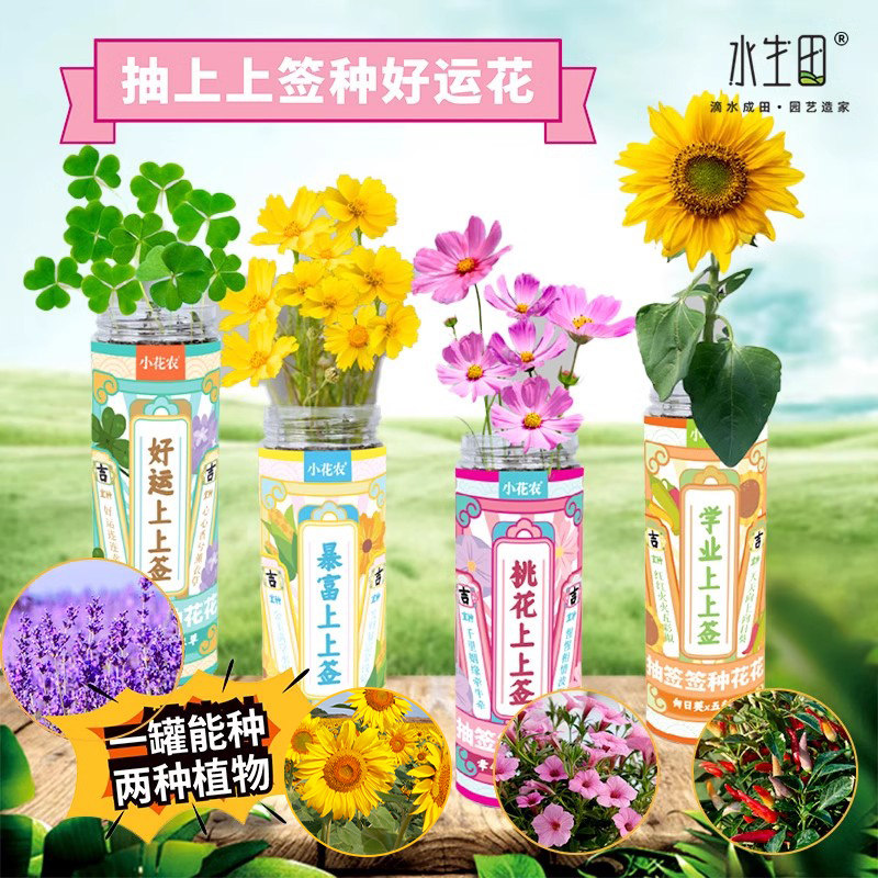速发上菜签种植小盆栽上童罐头植物小花农发芽植物种植盒蔬儿花卉