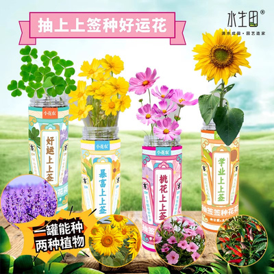 速发上菜签种植小盆栽上童罐头植物小花农发芽植物种植盒蔬儿花卉