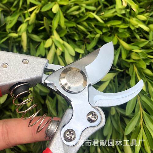 现货 SK5园林剪刀修枝剪整枝树枝剪P花剪工具粗枝果枝剪