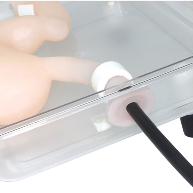 速发胃镜手术训练模型 真模拟胃 ERCP模型 ESD训练 成人1:1比例