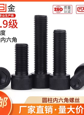 速发全牙12.级内六角2丝高强度杯M螺栓M4M5M6M8M10M1螺头16M20M24