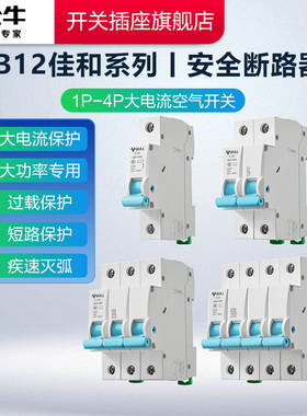 公牛家用空开大功率LB12断路器空气开关1P2P3P断路器空气开关100A
