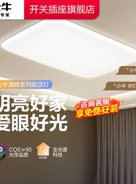 公牛客厅吸顶灯客厅主灯2025新款灯具led客厅灯超亮客厅大灯x62