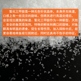 极速氧化三甲胺TMAO垂钓鱼饵钓饵诱食剂钓鱼小药鲫V鱼鲤鱼野钓黑