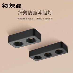 全光谱防眩筒灯客厅吸顶无主灯超薄双头天花灯 初识灯饰斗胆灯明装