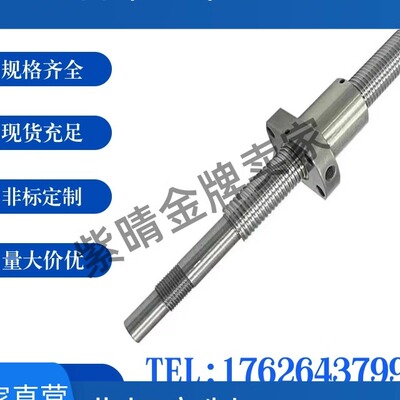 滚珠丝杠丝杆C-BSSC/BSSCK/BSST/BSSZ/BSSRK0802 1004 1002 1204