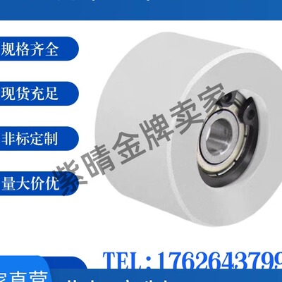 EVF11平皮带惰轮C-AFBD9 10 11 15 16 19-20 25 30 40 50两侧轴承