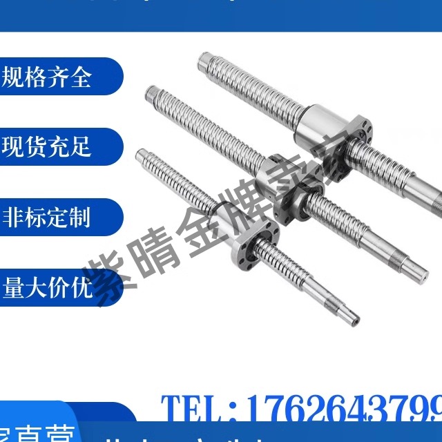 滚珠丝杠丝杆BSX BSS0802 1002 1004 1202 1205 1210 1516
