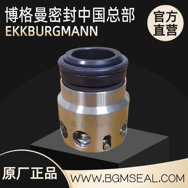 意大利罗瓦拉水泵LOWARA1HM02S03T5RVBE机械密封件原装高温密封