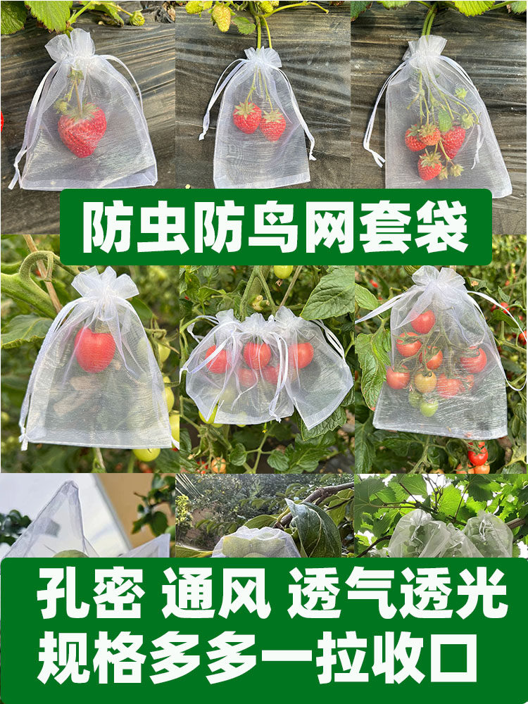 蔬果防虫防鸟双抽绳套袋
