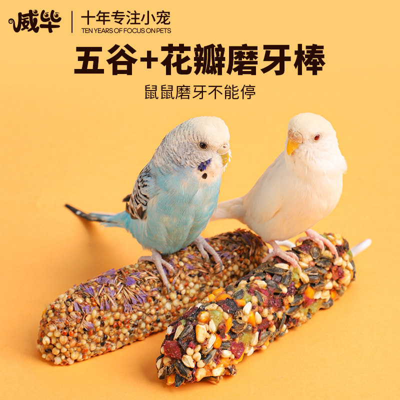 极速磨牙棒鹦鹉h训练鸟零食非墨鱼骨磨嘴用品鸟粮饲料油葵小瓜子,宠物/宠物食品及用品,鸟食,淘宝优惠券,粉丝福利购,淘宝优惠卷