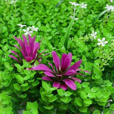 极速人工草d坪垫子店铺背景墙地面假花小草植物小清新装饰品绿草