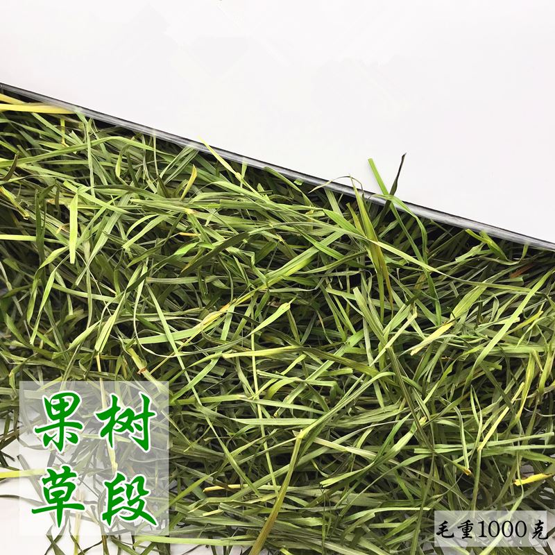 极速。 烘干果树草段 兔子龙猫荷兰猪牧草干L草替代提摩西草 毛重