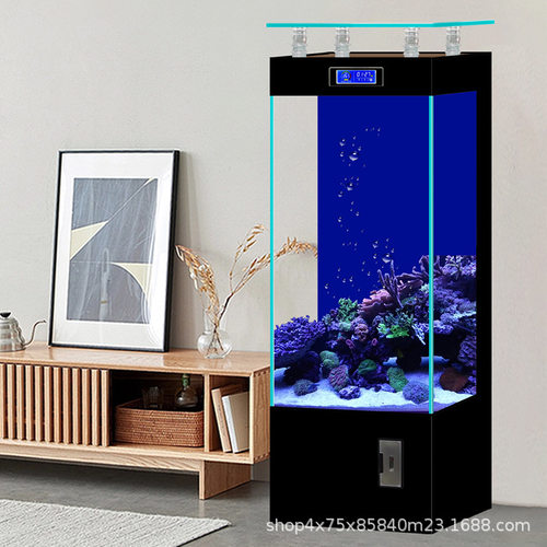 极速源头工厂高端鱼缸金晶超白玻璃E方形客厅水族箱生态自循环精