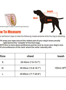 极速Bowknot Cat Harness and Leash SFet Adjustable Puppy Harn