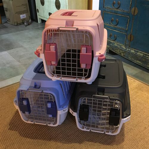 极速便携达洋航j空箱宠物兔兔 天竺鼠豚鼠运输荷兰猪龙猫外带笼手