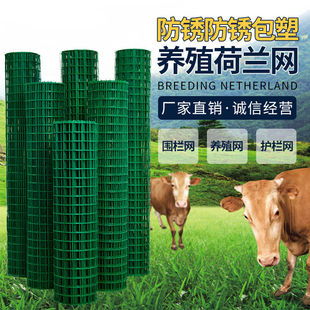 极速铁网子围栏鸡圈鸡网围t栏家用种菜栅栏铁丝网围栏养殖网鸡舍