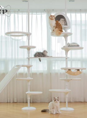 极速Memory Pet韩国直B邮宠物猫咪简约白色耐刮环保跳板吊床