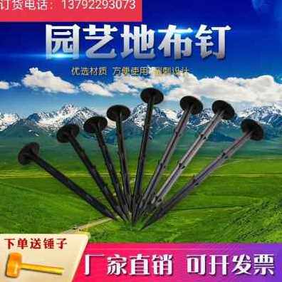 极速新款销厂促厂促塑料地钉加粗D加长果园艺P地布钉拉枝固定大棚