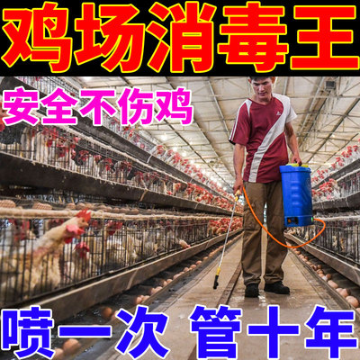 速发鸡舍专用消毒液鸡场圈环境养殖场预防鸡瘟芦丁鸡杀菌病防治专