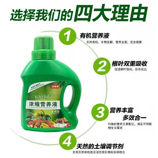 极速200%能救活】植物营v养液通用型烂叶黄叶烂根盆栽家用花卉养