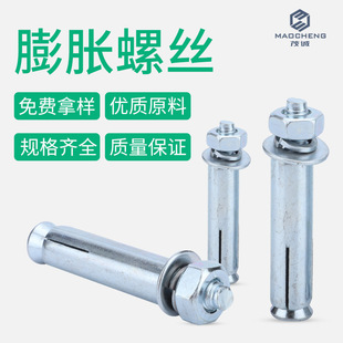 M10 M12外六R角加长螺钉拉爆螺丝 镀蓝白锌蓬胀螺丝M6 新品